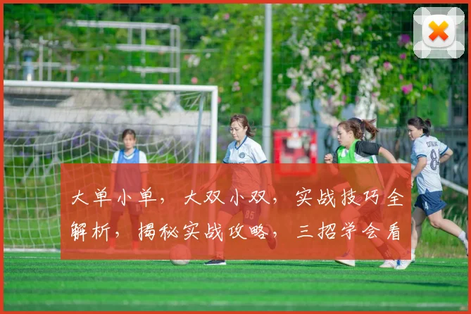 大单小单，大双小双，实战技巧全解析，揭秘实战攻略，三招学会看盘