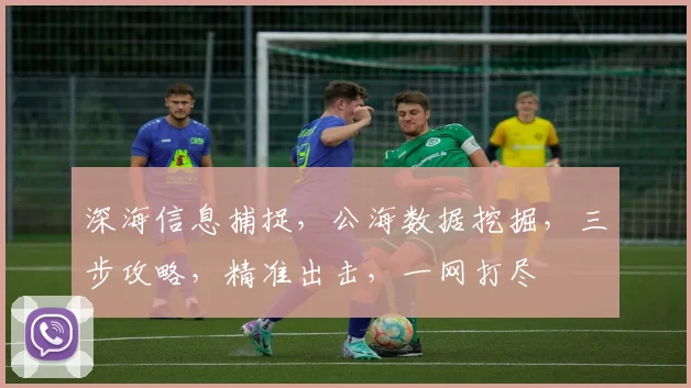 深海信息捕捉，公海数据挖掘，三步攻略，精准出击，一网打尽