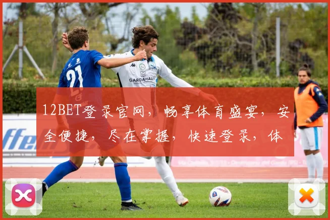 12BET登录官网，畅享体育盛宴，安全便捷，尽在掌握，快速登录，体验非凡