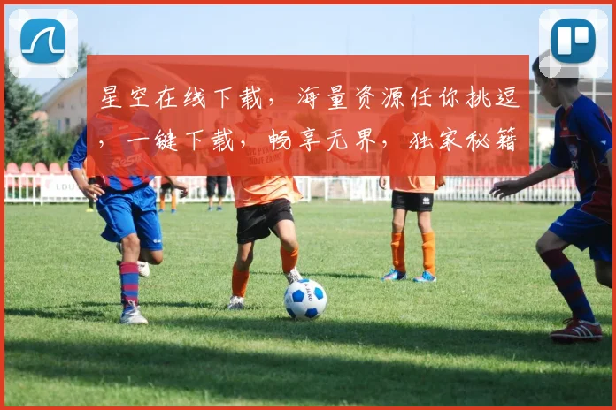 星空在线下载，海量资源任你挑逗，一键下载，畅享无界，独家秘籍，必看攻略